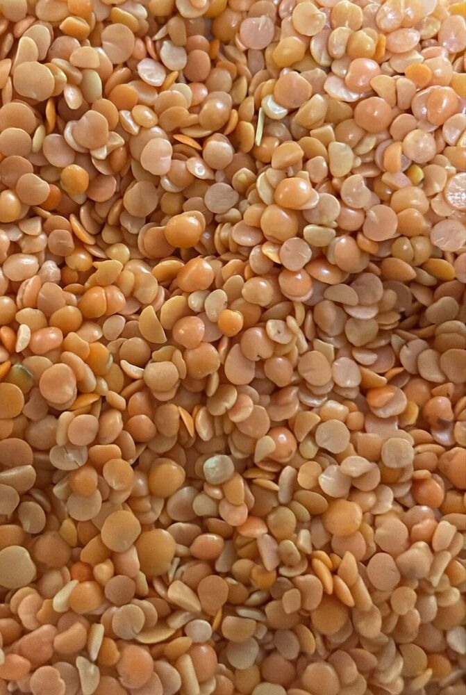 Dall Nylon Polish - Admixture (%): 1% Max