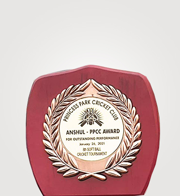 Customized Wooden Trophies