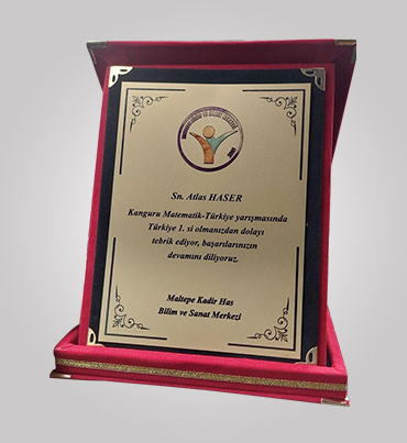 Customized Wooden Trophies