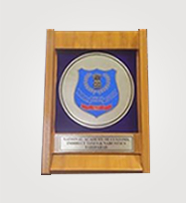 Normal Wooden Trophies