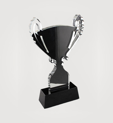 Acrylic Trophies