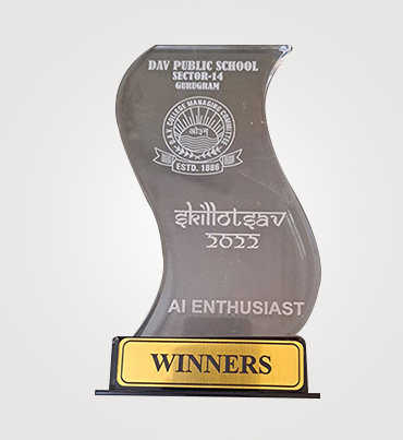 Customized Acrylic Trophies