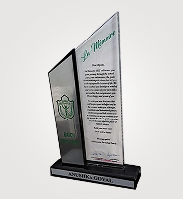 Customized Acrylic Trophies
