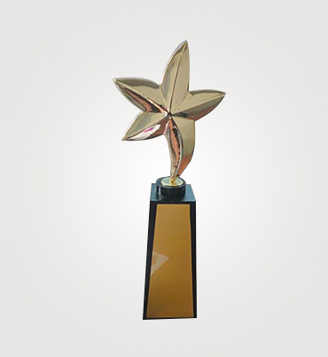 Normal Acrylic Trophies