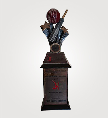 Customized Resin Trophies