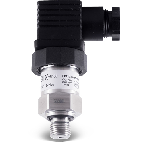 RB21C1 General Purpose Pressure Transmitter