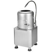 SS Potato Peeler Machine