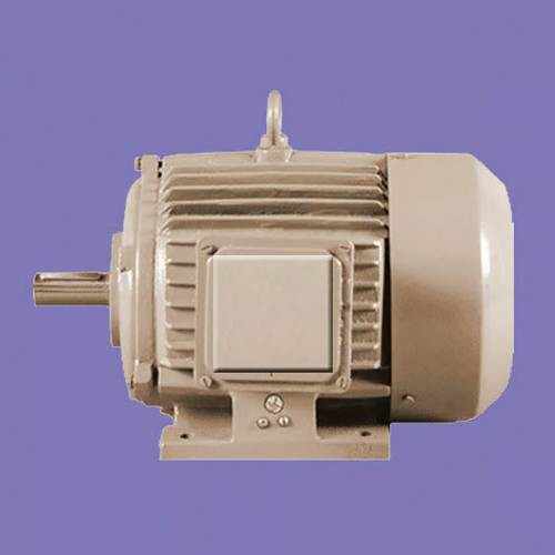 AC Induction Motor