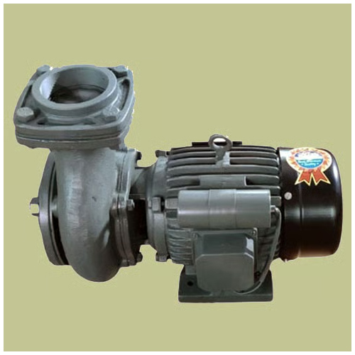Cast Iron Monoblock Pump