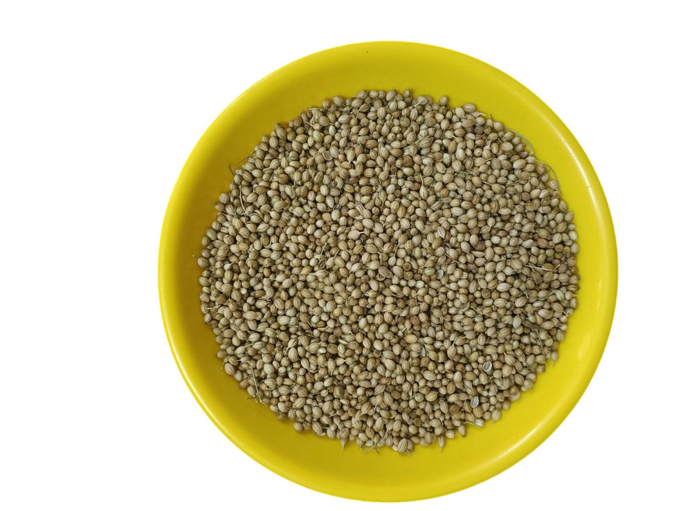 Corriander Seeds