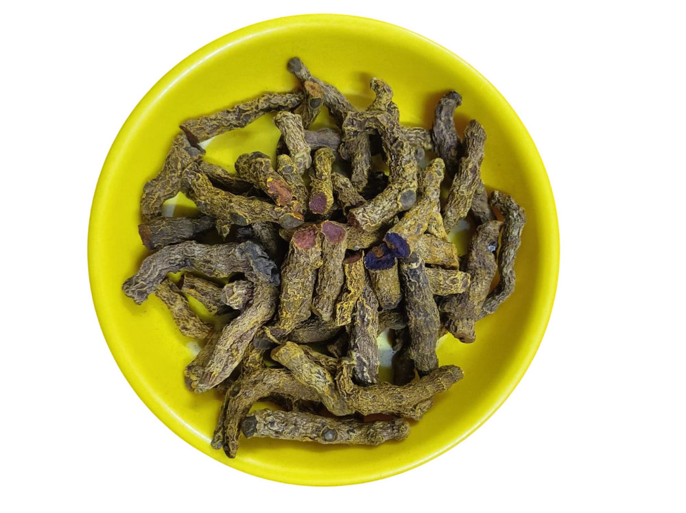 Turmeric - Finger 1 Bulb