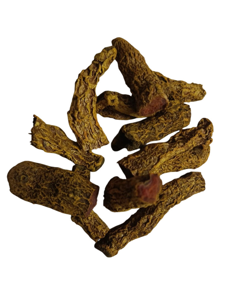 Turmeric - Finger 2 Bulb 1