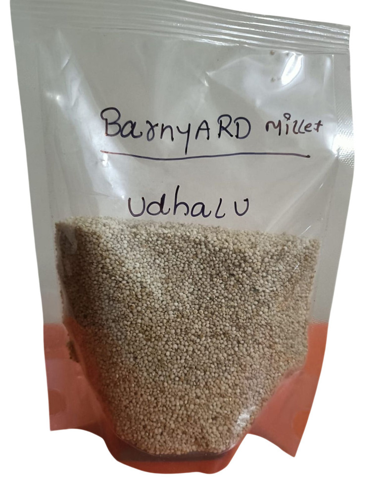 Barnyard Millet