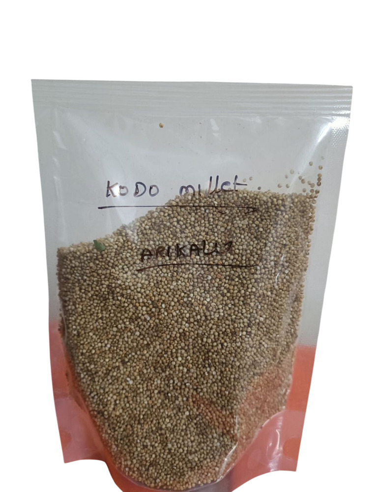 Kodo Millet