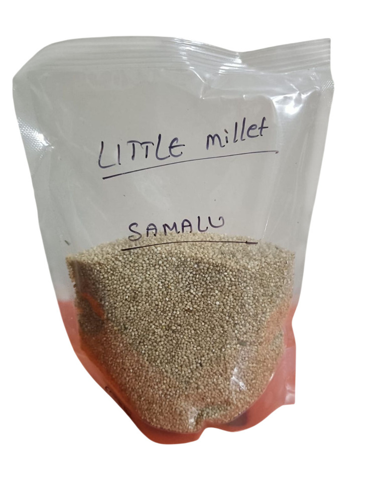 Little Millet
