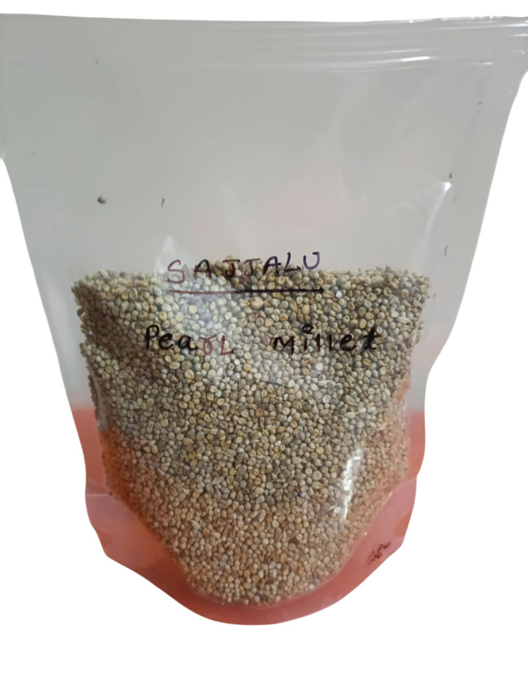 Pearl Millet