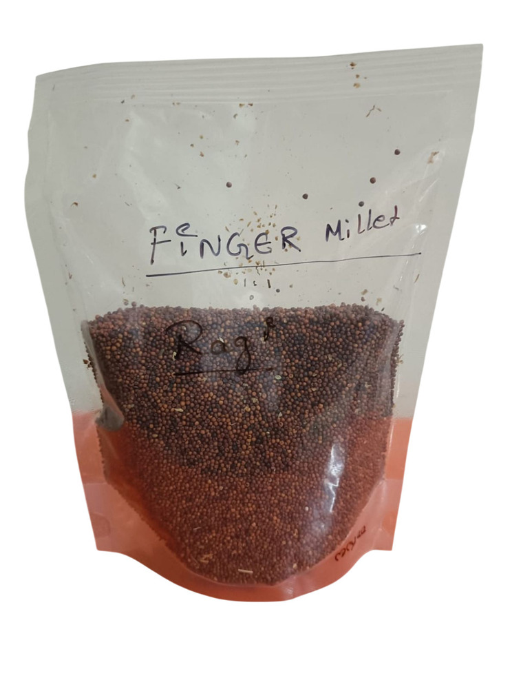 Finger Millet