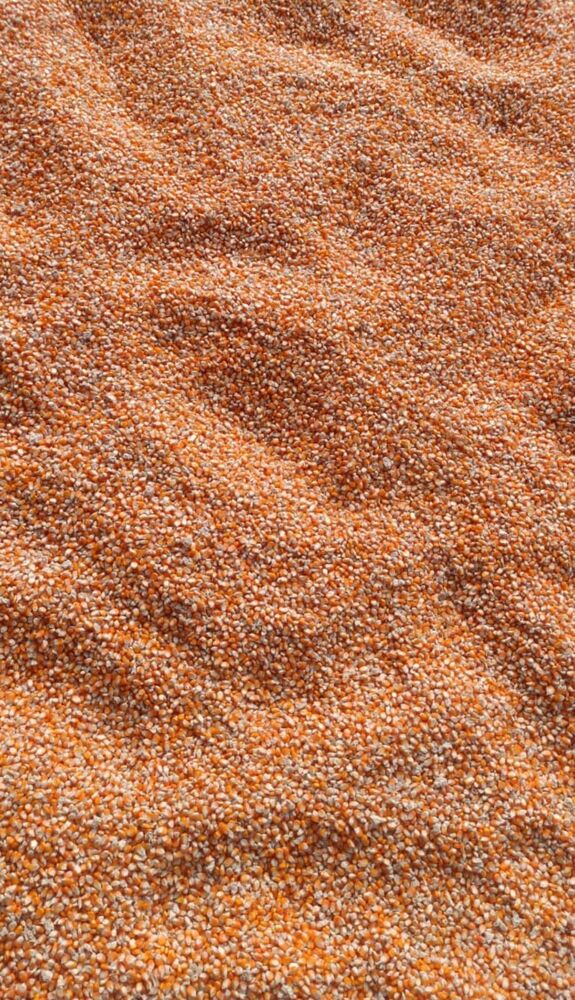 Maize - Yellow Corn - Admixture (%): 1% Max