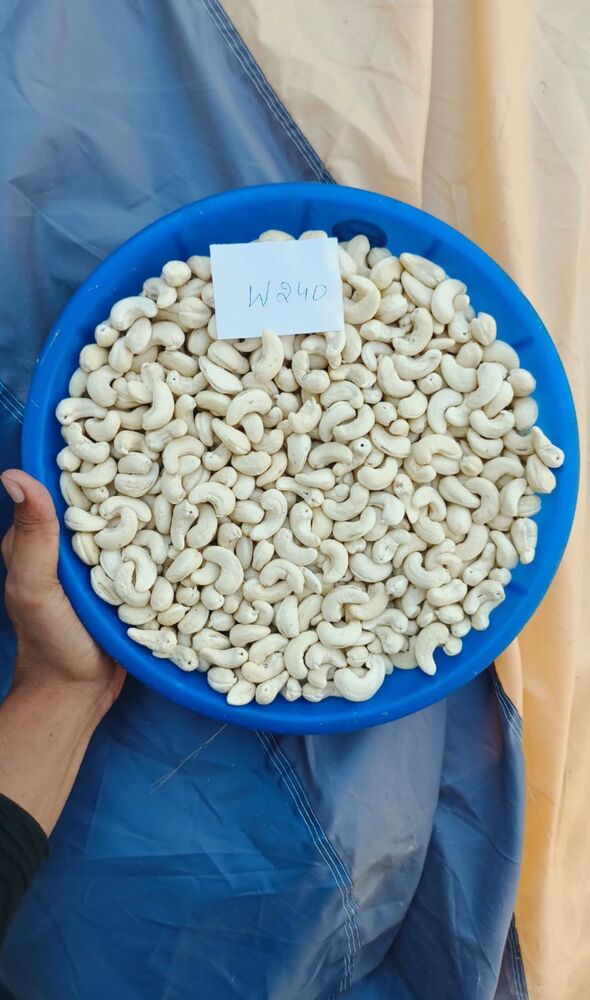 Indian Cashew Kernels