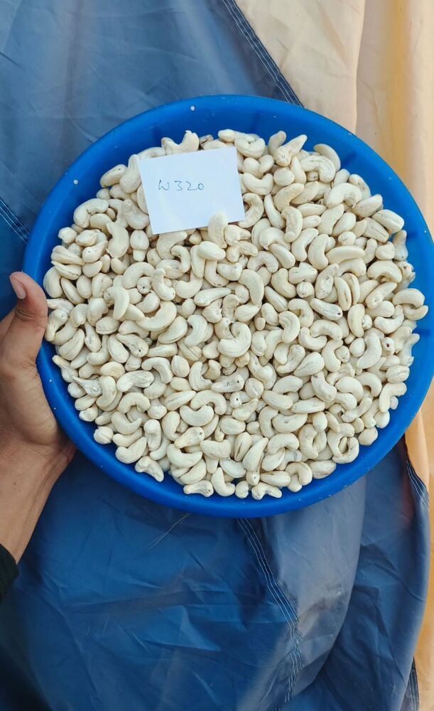 Indian Cashew Kernels