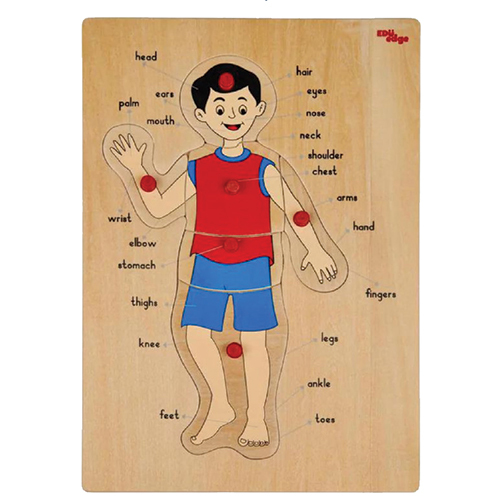 Body Parts Puzzle