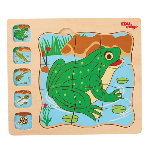Frog Life Cycle Puzzle