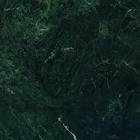 मारीगुलाबी हरा