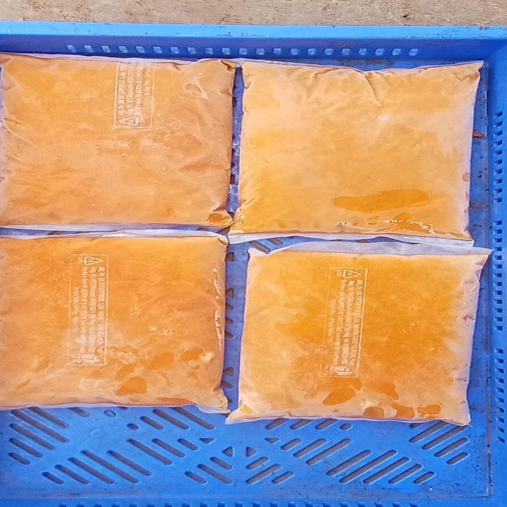 Frozen Alphanso Mango Pulp