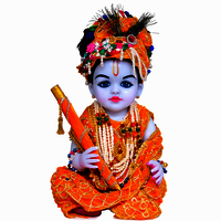 Shri Krishna Murti