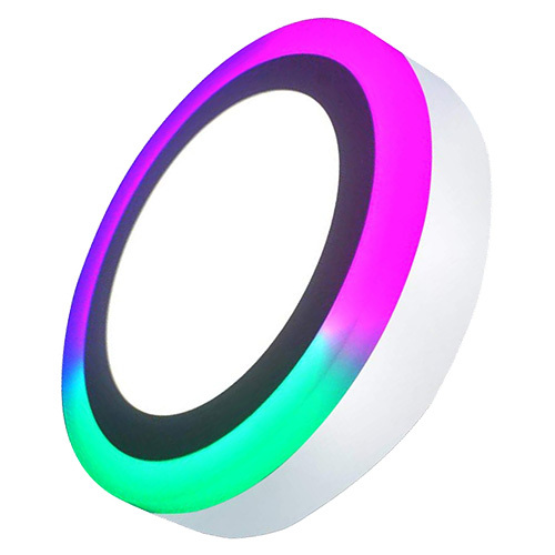 15W 2 In 1 Surface Light