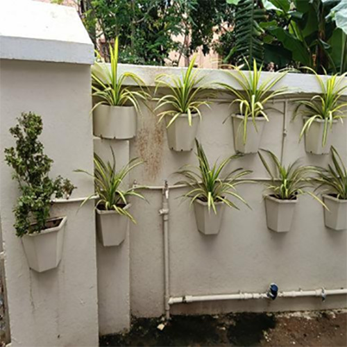 Vertical Gardening Services