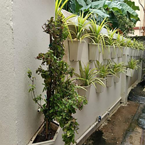 Vertical Gardening Services