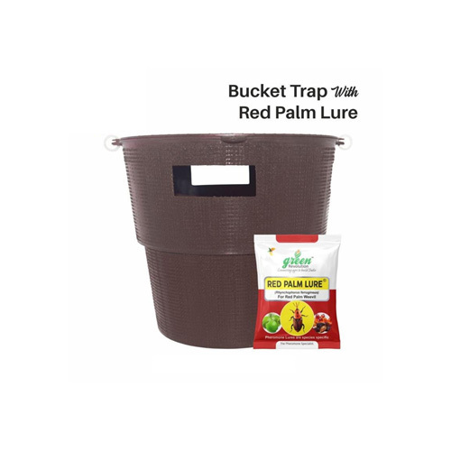 Red Palm Lure Bucket Insect Trap