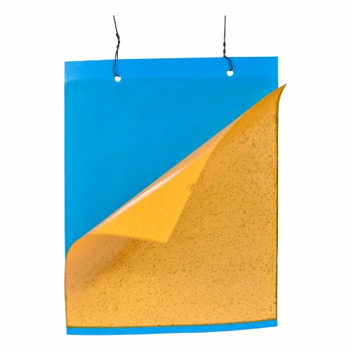 Yellow & Blue Sticky  Insect Trap - Packaging: Roll-packed With Individual Wrapping