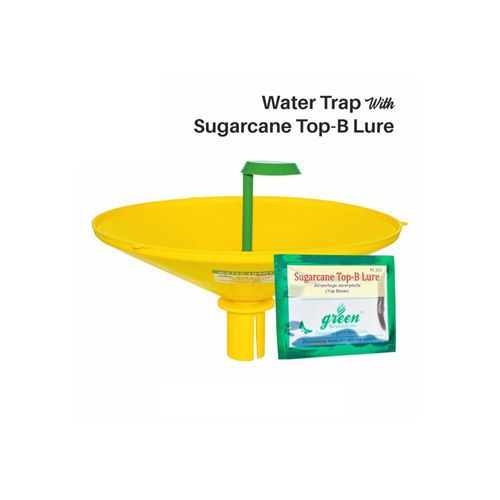Sugarcane Top-B Lure Water Insect Trap