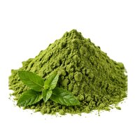 Mint Leaves Powder - Additives: No Additives