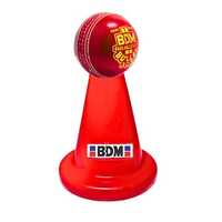 Practice Cricket Cone