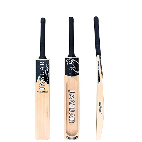 Serbian English Willow Bat