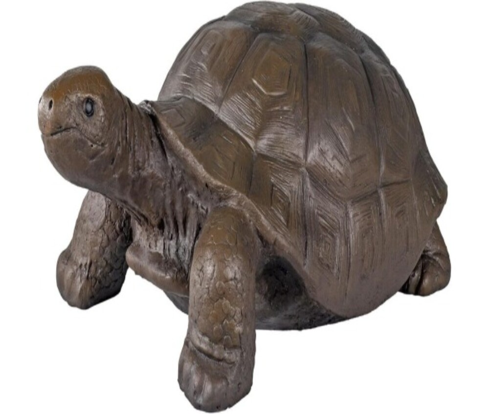 Fiber Tortoise - High-quality Fiber Material, Customized Sizes, Elegant Color Options | Perfect For Commercial Spaces, Polished Smooth Finish