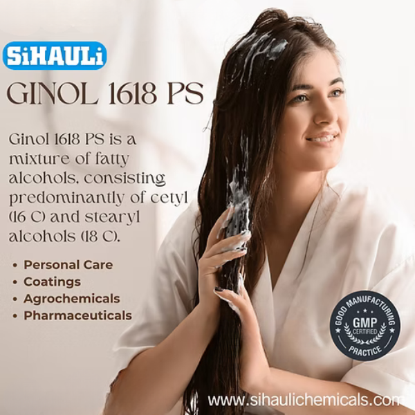Ginol 1618 PS