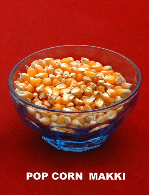 पॉप कॉर्न मक्की