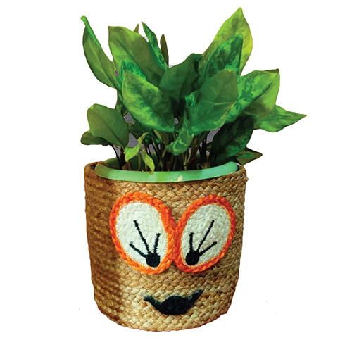 Jute Planter