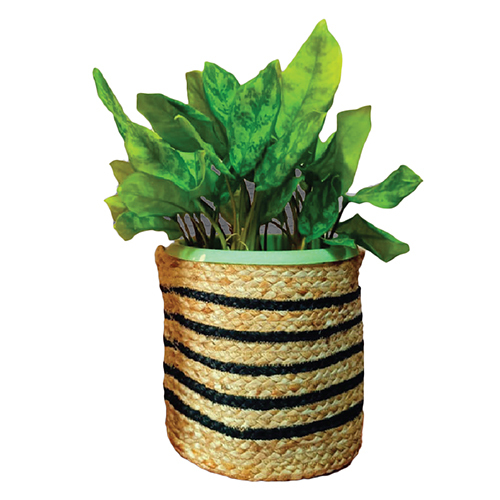 Jute Planter