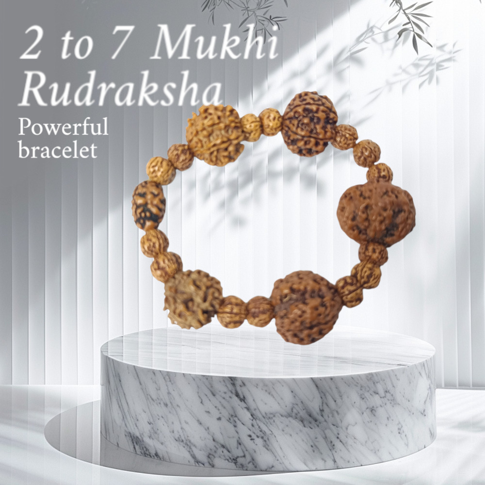 2 To 7 Mukhi Rudraksh Bracelet
