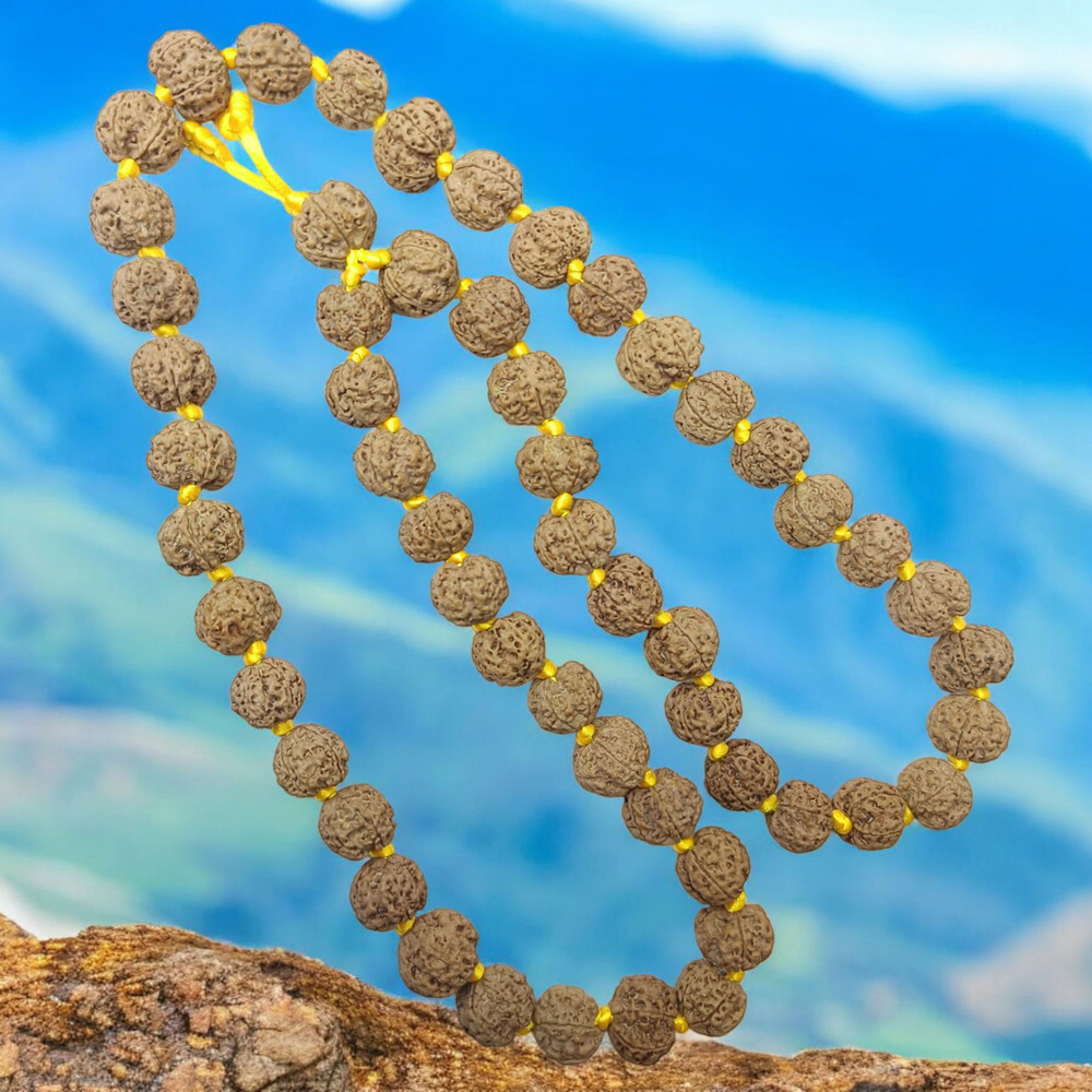 5 Mukhi Pathri Dana Rudraksha Kantha 54 Beads