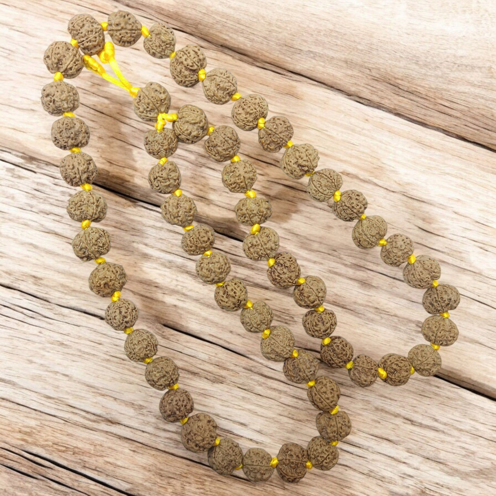 5 Mukhi Pathri Dana Rudraksha Kantha 54 Beads