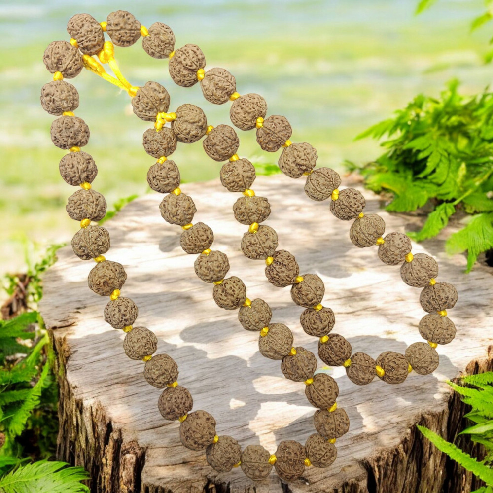 5 Mukhi Pathri Dana Rudraksha Kantha 54 Beads