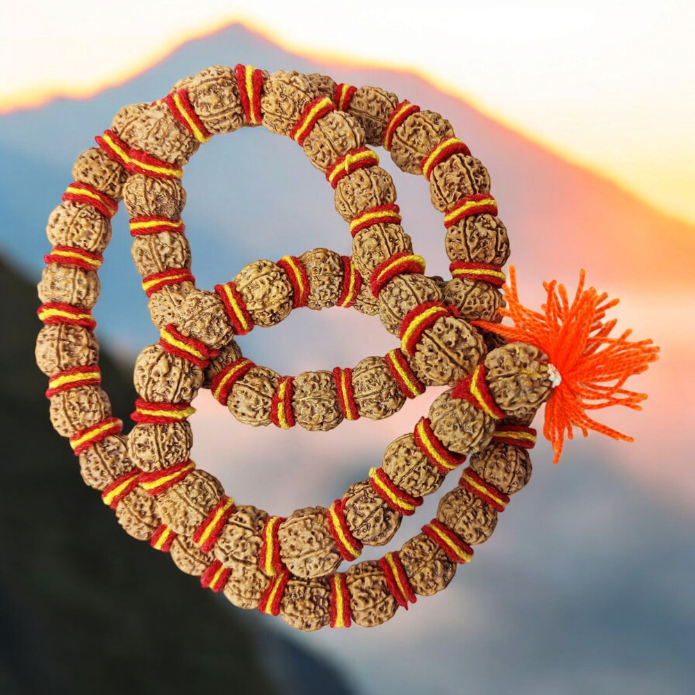5 Mukhi Rudraksha Kantha 54 Beads