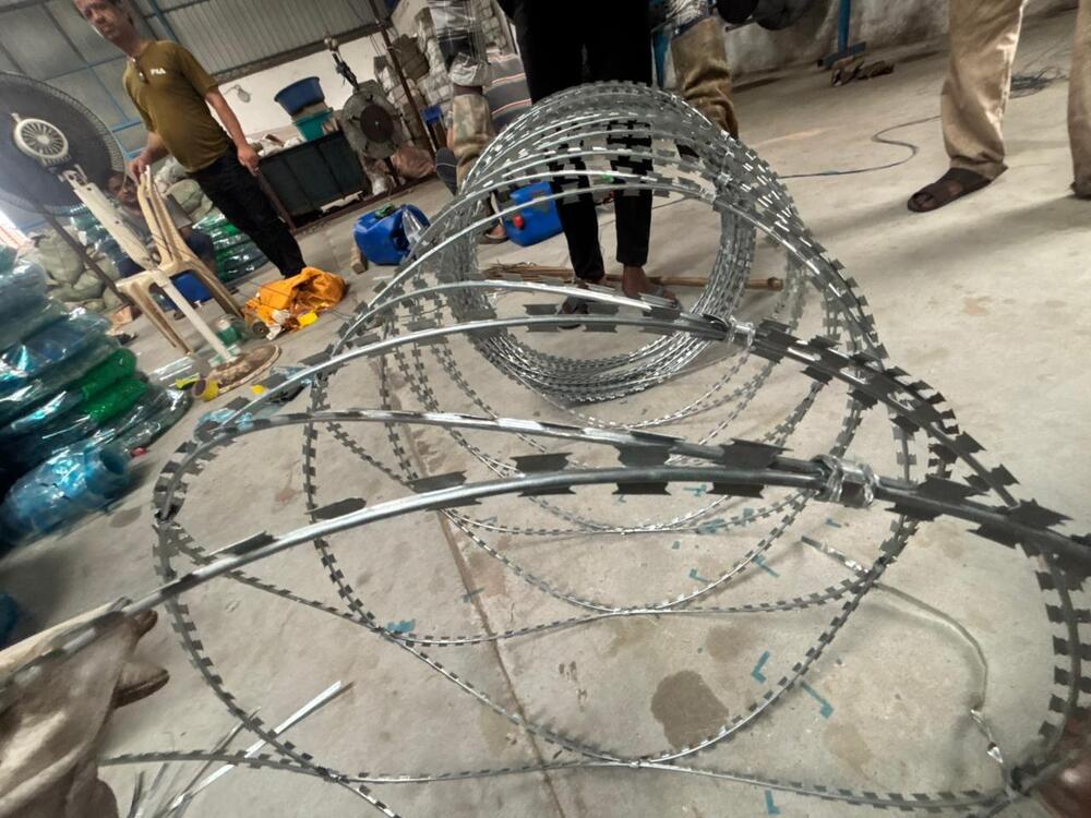 Concertina Wire