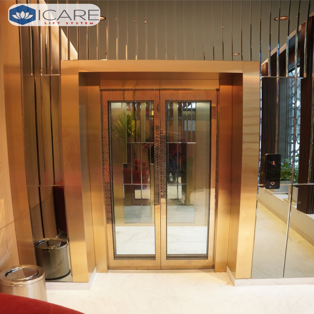 Customised Passenger Elevator